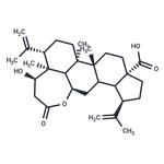 Chiisanogenin pictures