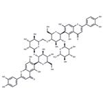 Isoorientin 2''-O-rhamnoside pictures