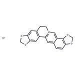 Coptisine chloride pictures