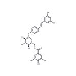 Resveratrol 4'-(6-galloylglucoside) pictures