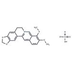 Berberine hydrogen sulphate pictures