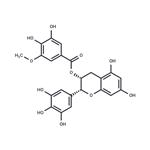 (-)-Epigallocatechin-3-(3''-O-methyl) gallate pictures