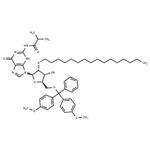 N2-iBu-5’-O-DMTr-2’-O-hexadecanyl guanosine pictures