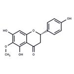 6-Methoxynaringenin pictures