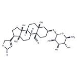 Convallatoxin pictures