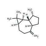 (+)-Aromadendrene pictures