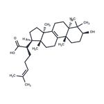 Trametenolic acid pictures