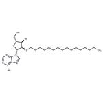 2’-O-Hexadecanyl adenosine pictures