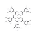 Pentagalloylglucose pictures