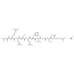 Urechistachykinin I acetate(149097-03-0 free base) pictures