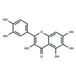 Quercetagetin pictures