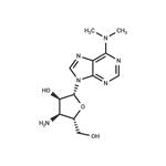 Puromycin aminonucleoside pictures