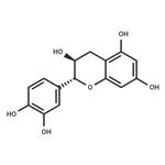 (±)-Catechin pictures