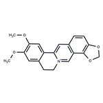 Epiberberine pictures