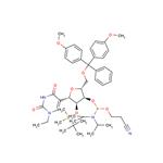 N1-Ethyl-2’-O-TBDMS-5’-O-DMTr-3’-phosphoramidite pictures