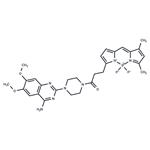 BODIPY FL prazosin pictures