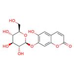 Cichoriin pictures