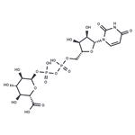 UDP-g acid pictures