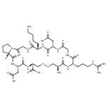 iRGD peptide pictures