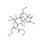 Phorbol 12,13-dibutyrate pictures