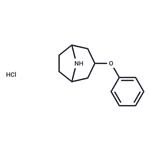 3-phenoxy-8-azabicyclo[3.2.1]octane HCl pictures