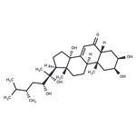 Polyporusterone A pictures