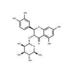 Astilbin pictures