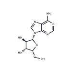 9-(β-D-Xylofuranosyl)adenine pictures