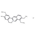 Jatrorrhizine hydrochloride pictures