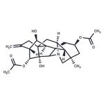 Guanfu base A pictures