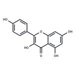 Kaempferol pictures