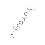 Adenosine amine congener pictures