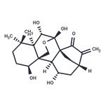 Lasiodonin pictures