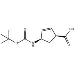 (1s,4r)-4-{[(tert-butoxy)carbonyl]amino}cyclopent-2-ene-1-carboxylic acid pictures