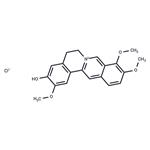 Jatrorrhizine chloride pictures