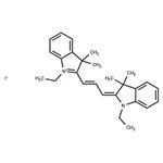 Astrophloxine pictures