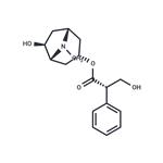 Anisodamine pictures