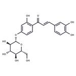 coreopsin pictures