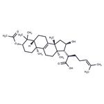 3-O-Acetyl-16α-hydroxytrametenolic acid pictures