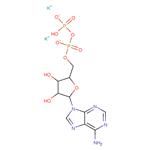 Adenosine 5’-diphosphate dipotassium salt; ADP-K2; 5'-ADP-K2 pictures