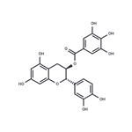 (-)-Catechin gallate pictures