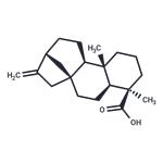 Kaurenoic acid pictures