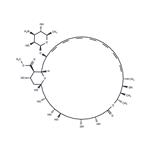 Amphotericin B methyl ester pictures