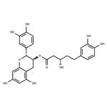 Phylloflavan pictures