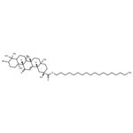 Stearyl glycyrrhetinate pictures