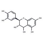 Leucocyanidin pictures