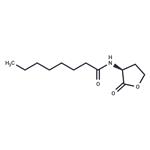 N-octanoyl-L-Homoserine lactone pictures