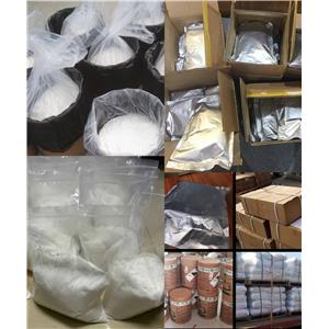 Procaine hydrochloride