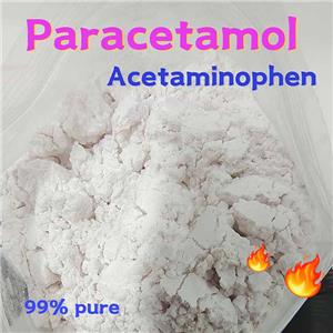 Acetaminophen / Paracetamol