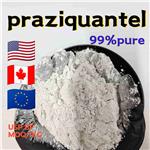 praziquantel pictures